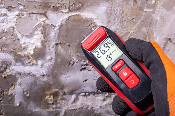 Best Best Mold Removal Companies  in Trophy Clu, TX