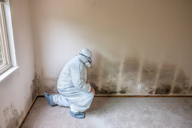 Best Mold Testing  in Trophy Clu, TX